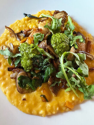 Disney World VIP vs. Universal Studios VIP: Which Is Better?