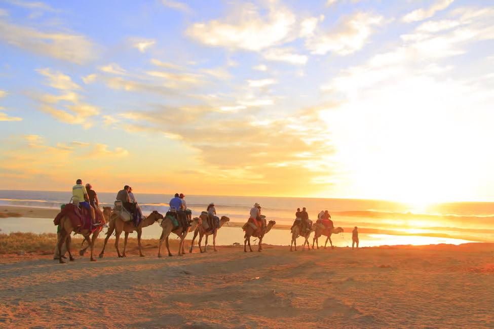 A Beach desert tour in Los Cabos, Mexico.