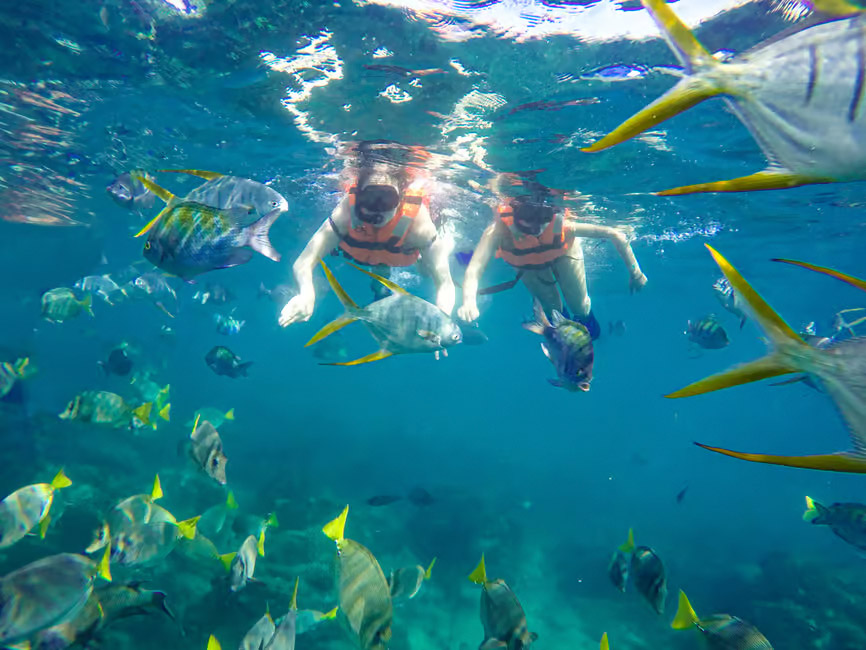 Snorkelling in Los Cabos, Mexico.