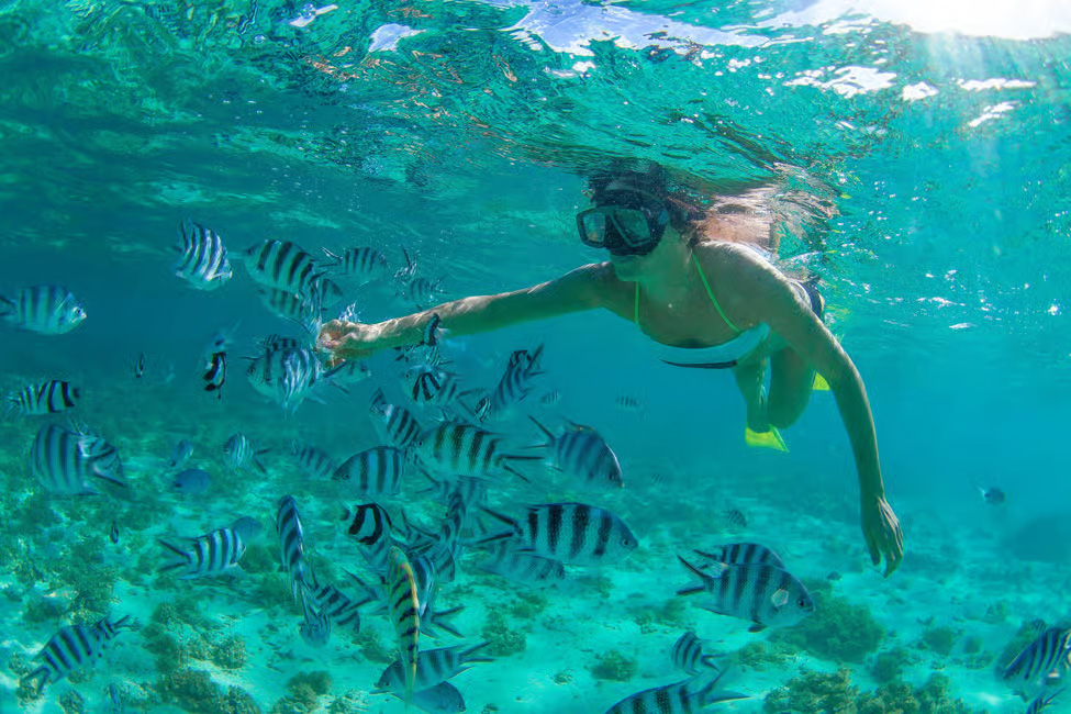 Snorkelling at Cabo Pulmo, Mexico.