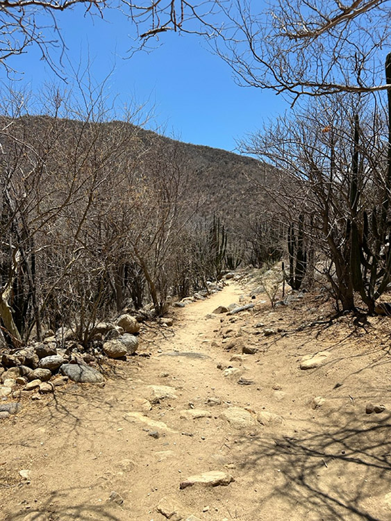 Rocky terrain leading to the Sol de Mayo waterfall at Canon de la Zorra (Fox Canyon) Baja California Sur, Mexico.