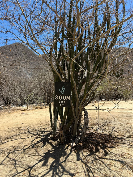 A well-marked path at Canon de la Zorra (Fox Canyon) Baja California Sur, Mexico.