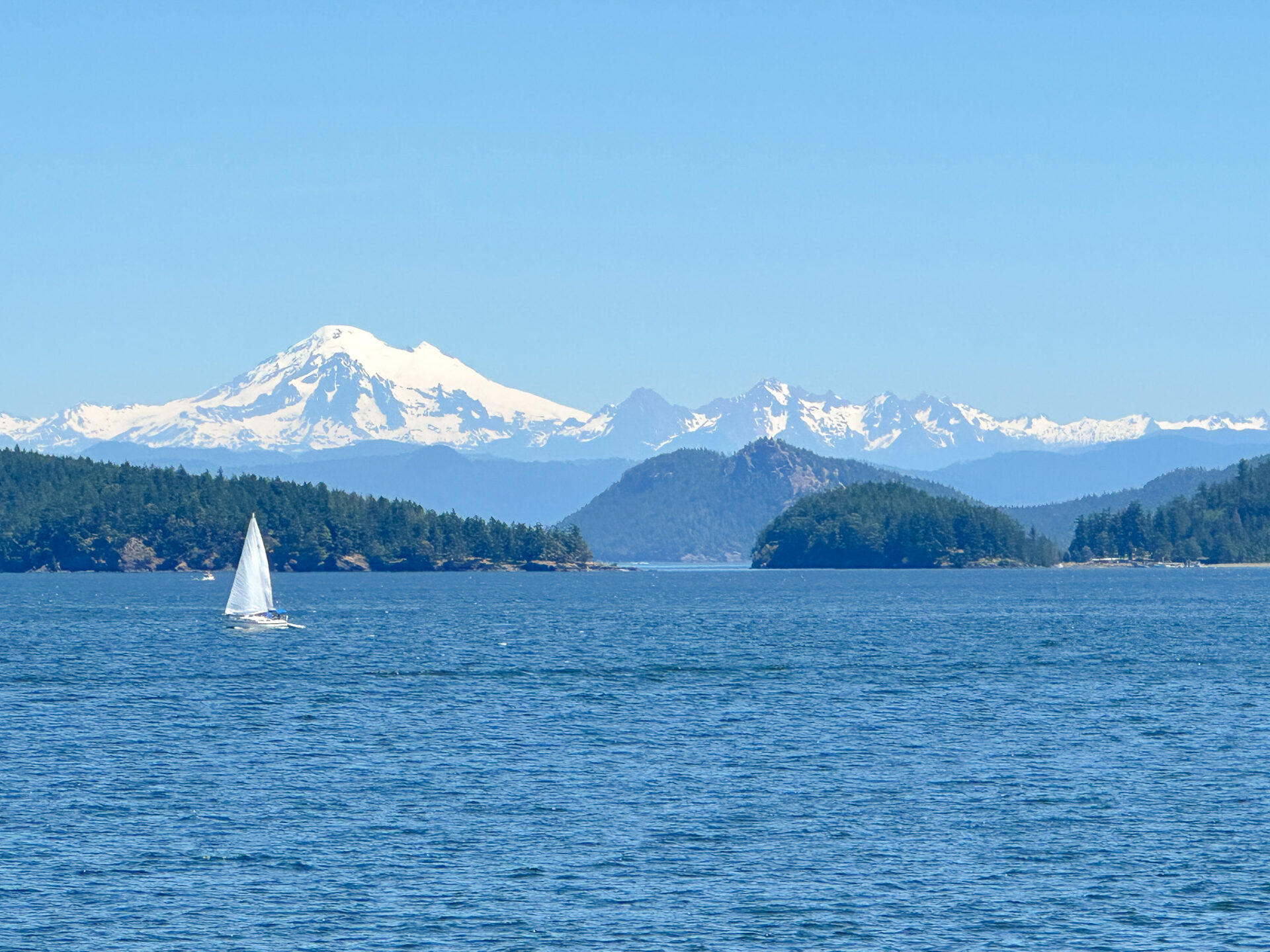 Don’t Leave San Juan Island without Doing These 5 Things