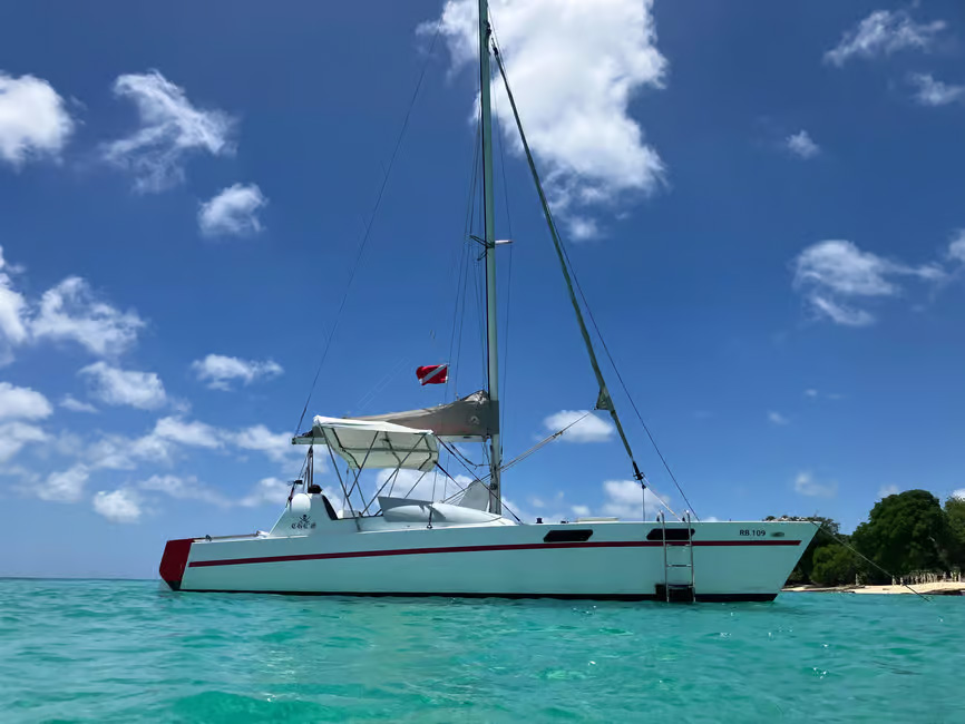 Sailing on a luxury catamaran in Barbados.