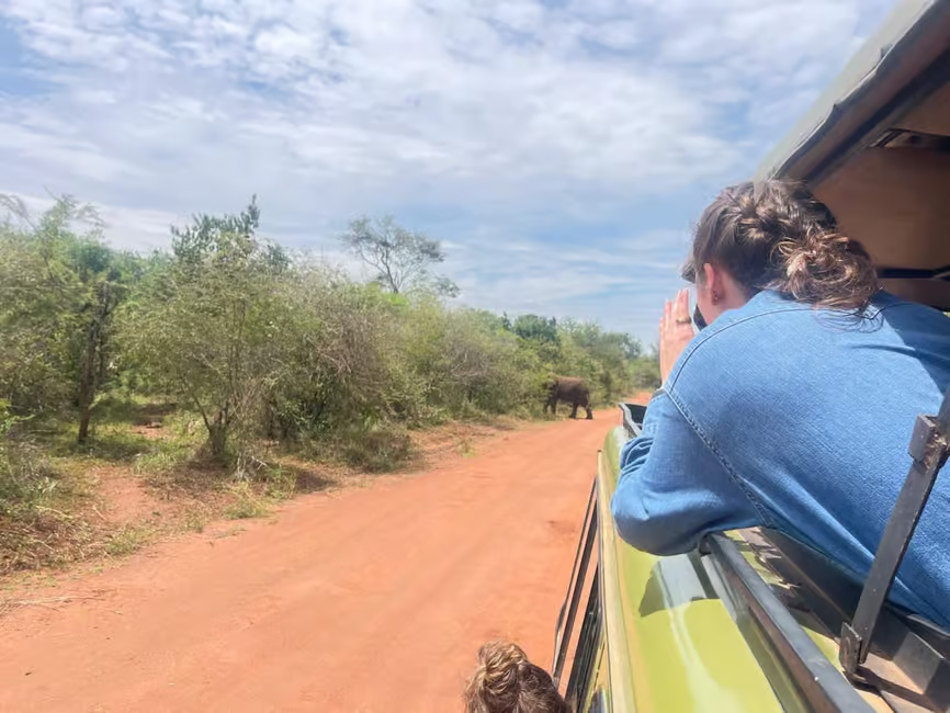 Spotting elephants on safari in Rwanda.