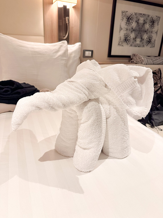 A towel elephant presented in a stateroom on board the Holland America Line MS Rotterdam.