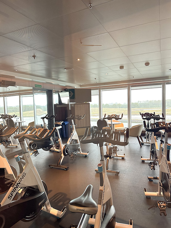A collection of stationary cycles in the gym on board the Holland America Line MS Rotterdam.