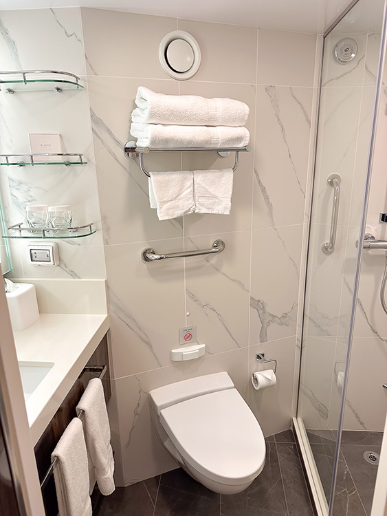 The ensuite bathroom in a Verandah Stateroom on board the Holland America Line MS Rotterdam.