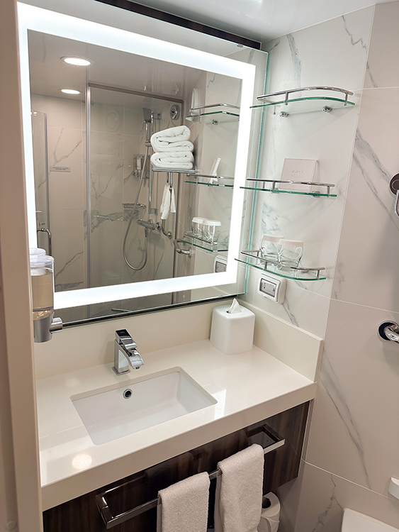 The compact ensuite bathroom in a Verandah Stateroom on board the Holland America Line MS Rotterdam.