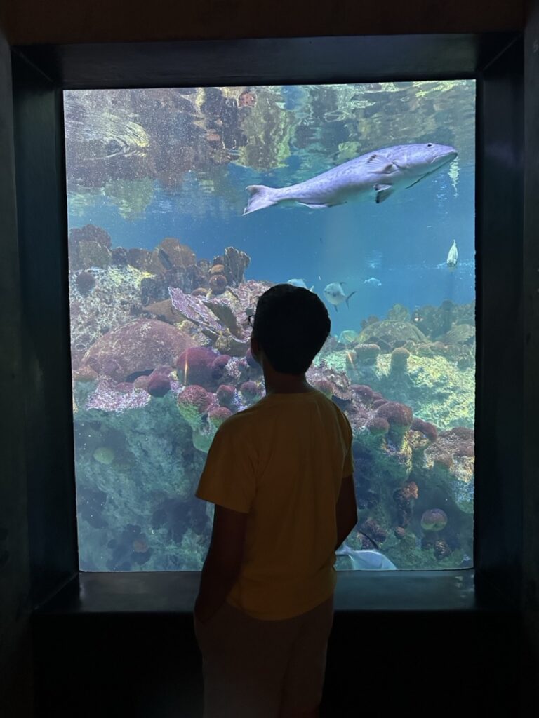 An exhibit at the Boston Aquarium, Boston, MA.