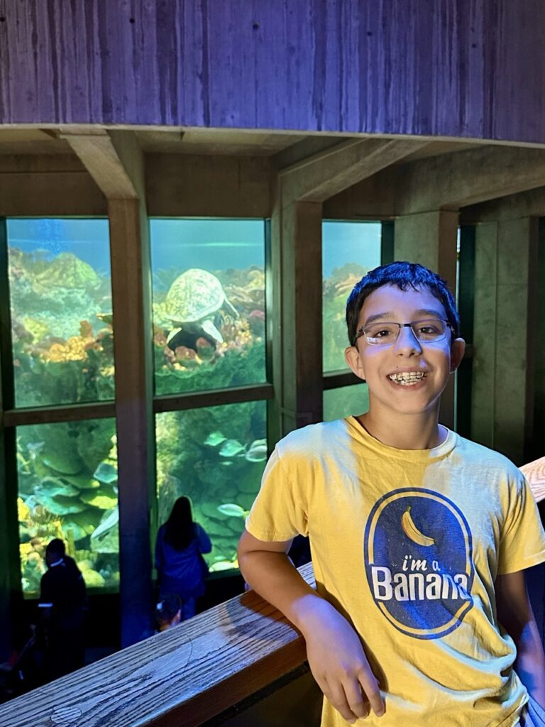 The Giant Ocean Tanks at the New England Aquarium, Boston, MA.