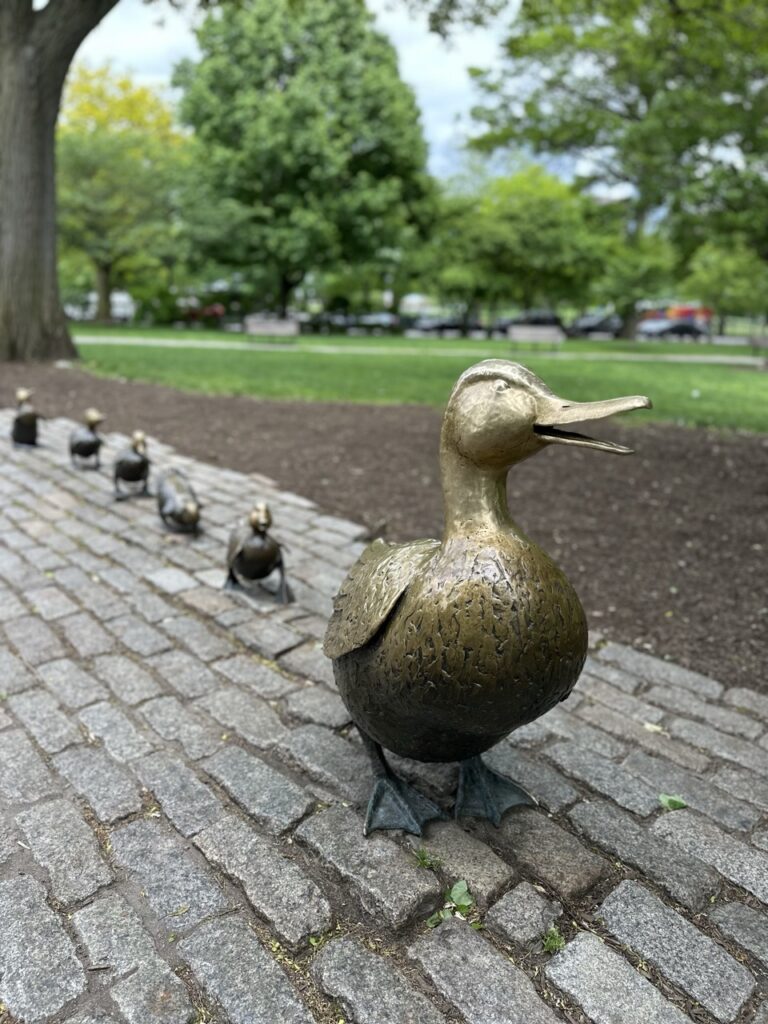 The sculpture of a duck and ducklings on Boston Common.